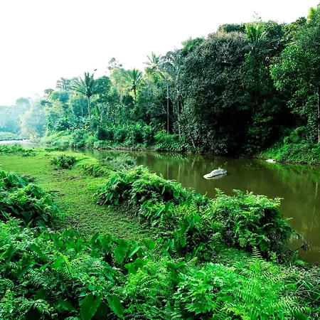 The Wayside Cottage Munnar-2