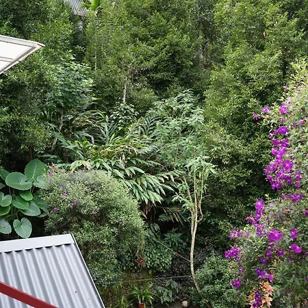 The Wayside Cottage Munnar-3